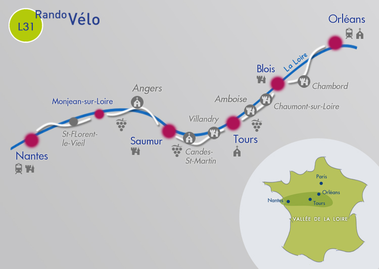 carte L31