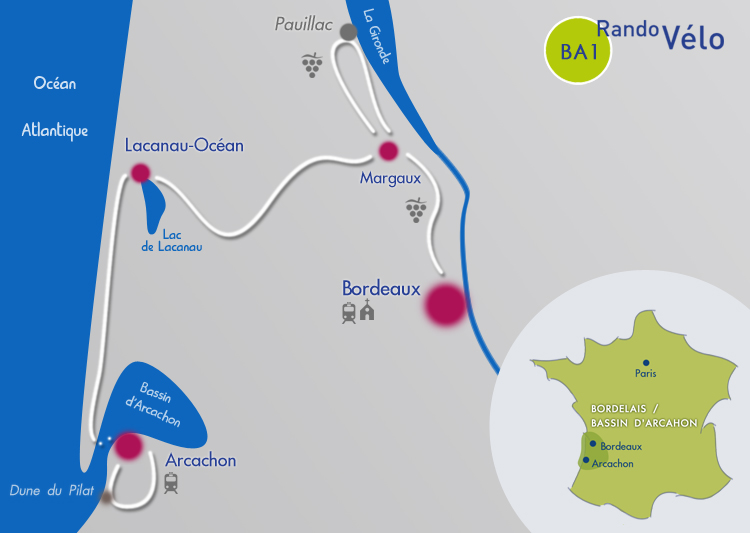 Bordeaux to Arcachon by bike through the vineyards Biking France
