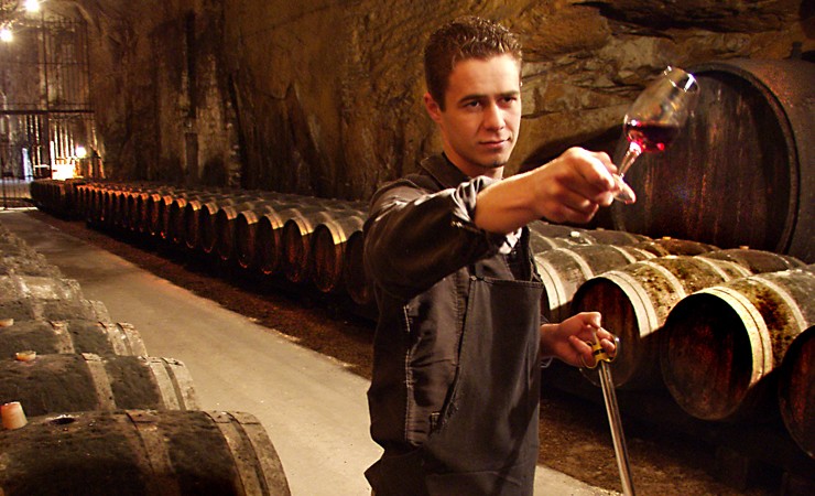 Chinon wine cellar