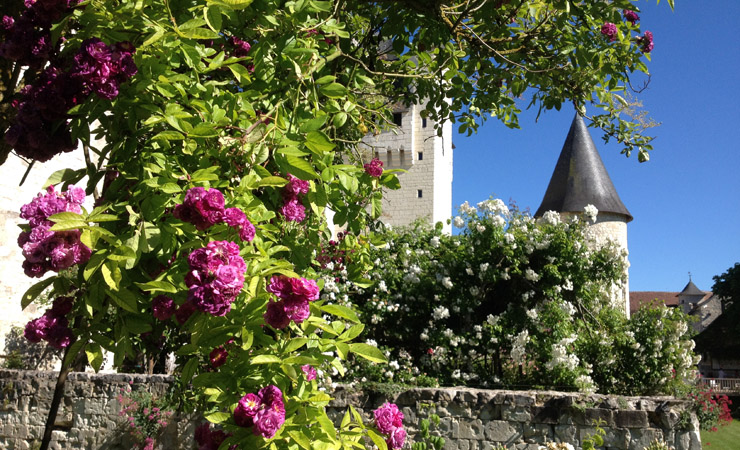 bicycle tours loire valley france château du Rivau