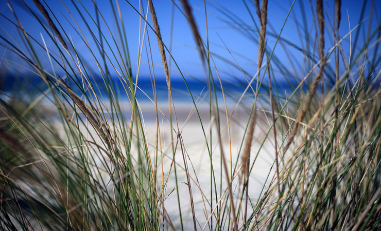 plage©David Remazeilles (Gironde Tourisme)