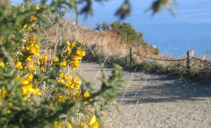 Pointe du Grouin