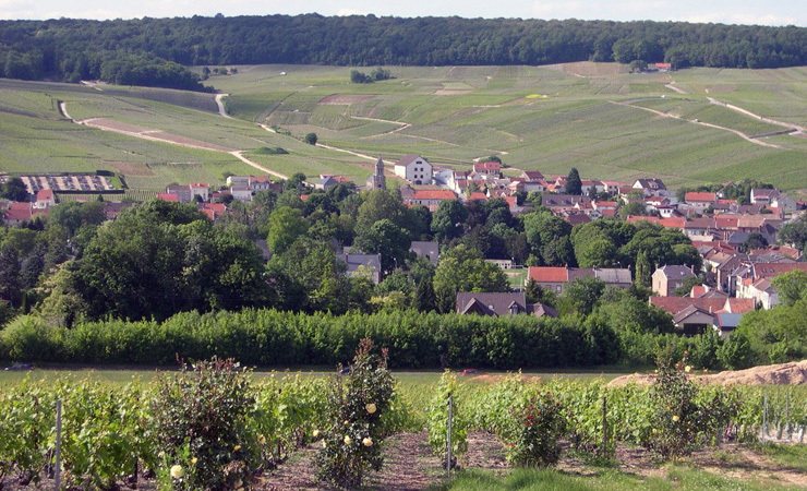 Champagne village & vineyards