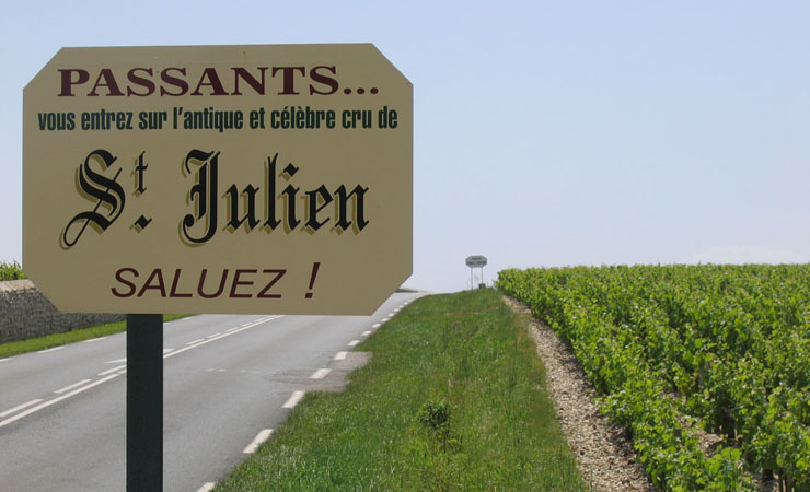 St Julien vineyards