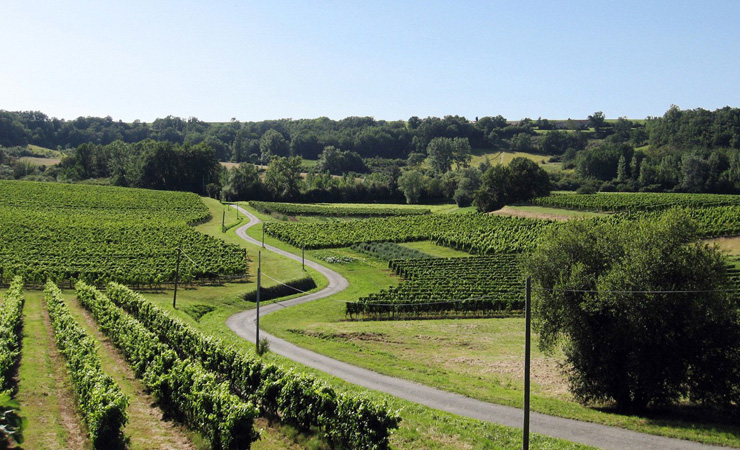 Entre-deux-Mers vineyards