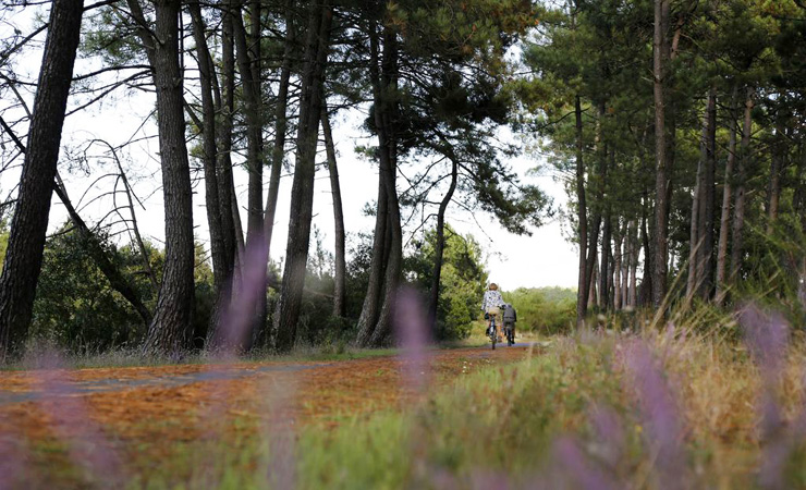 cycling path