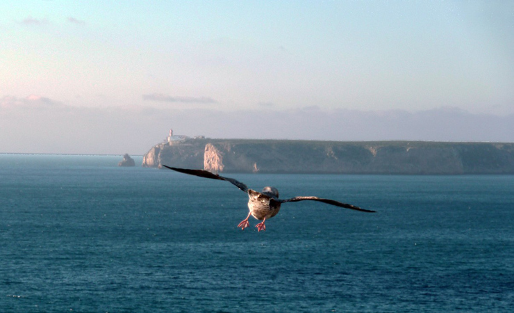 Sagres