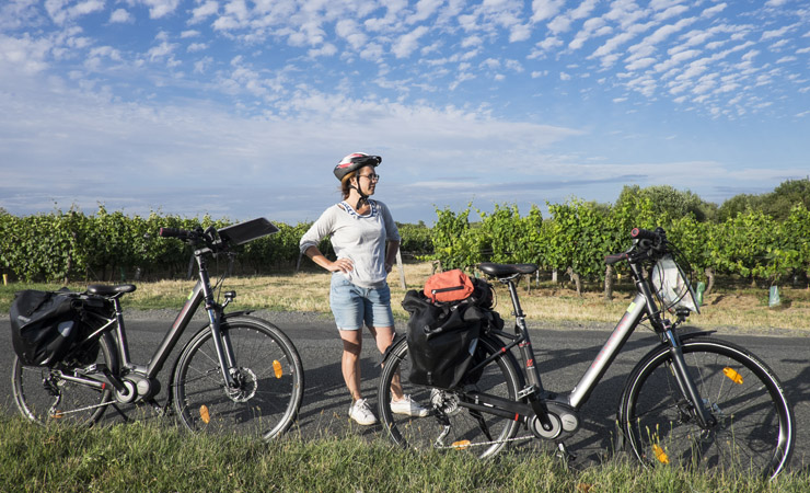 cycling in the vineyards