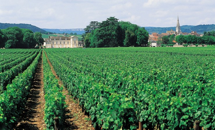 Château de Meursault