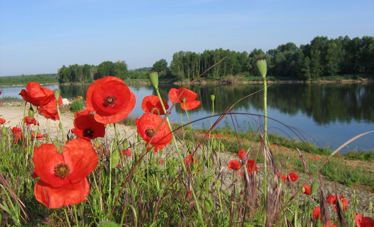 Loire river