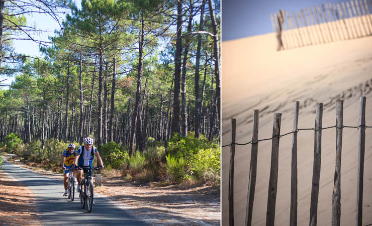 piste cyclable foret de pcycling paths | dune sand