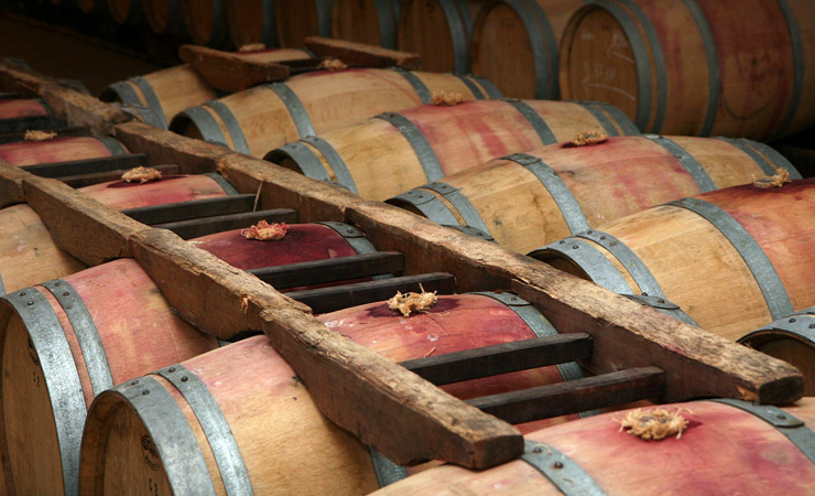 wine cellar & oak barrels