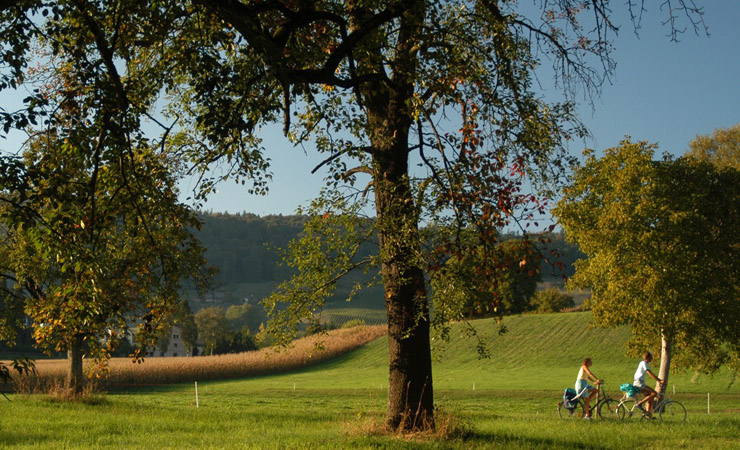 stein_am_rhein_