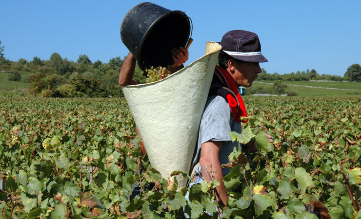 Harvest