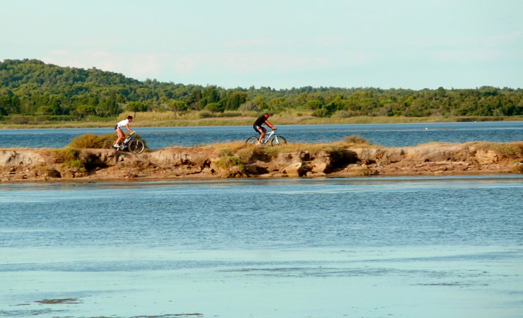 Gruissan pond