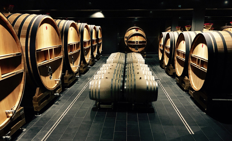 wine cellar - champagne -2478468_1920