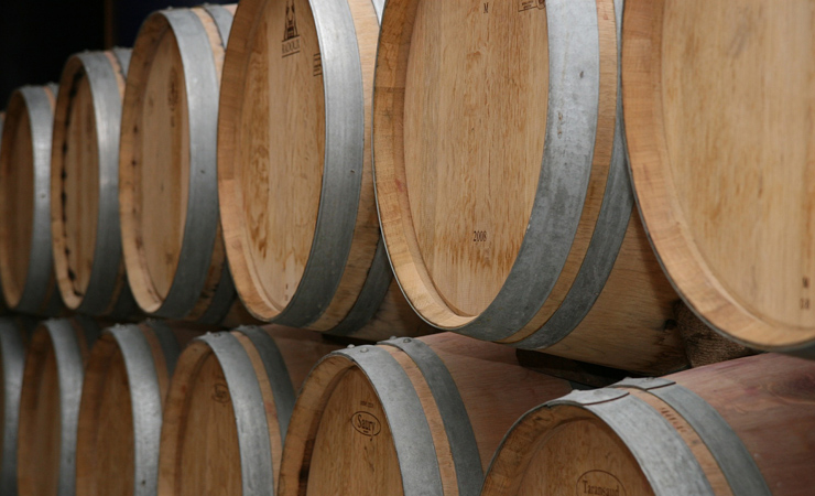 wine cellar & oak barrels