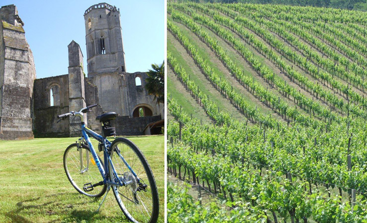 Abbaye de La Sauve Majeure and vineyards