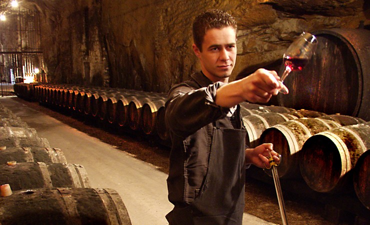 Chinon wine cellar