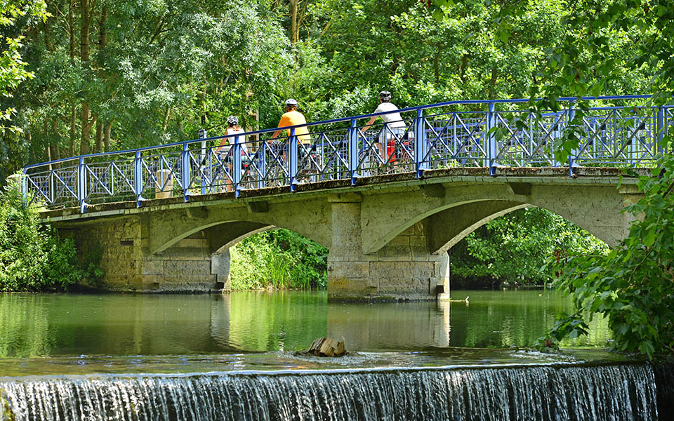 La Sèvre Niortaise