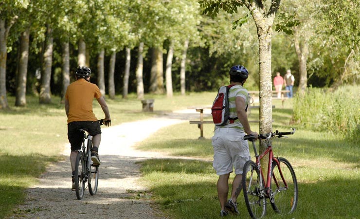cycling path
