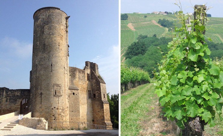 chateau de Rrauzan & vineyards
