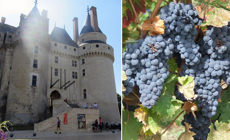 chateau de Langeais & vineyards