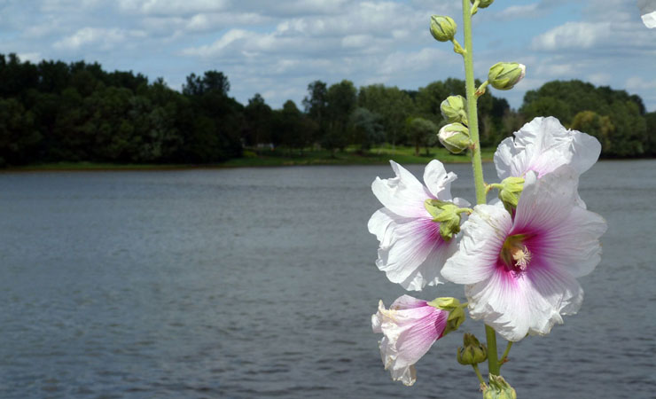 Loire river