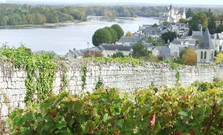 Montsoreau & vineyards