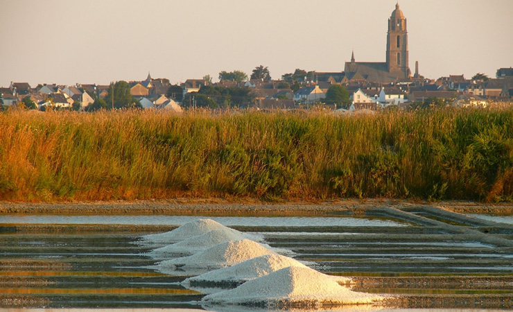 Guérande salt marshlands