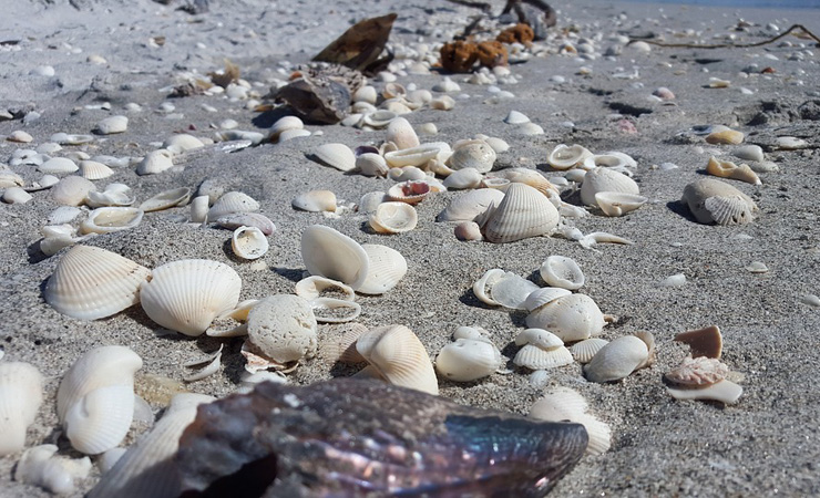 La Vélodyssée beach