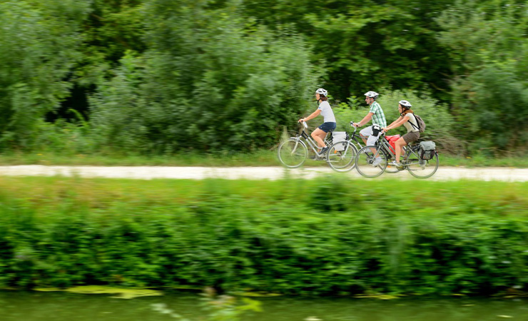 Marais Poitevin