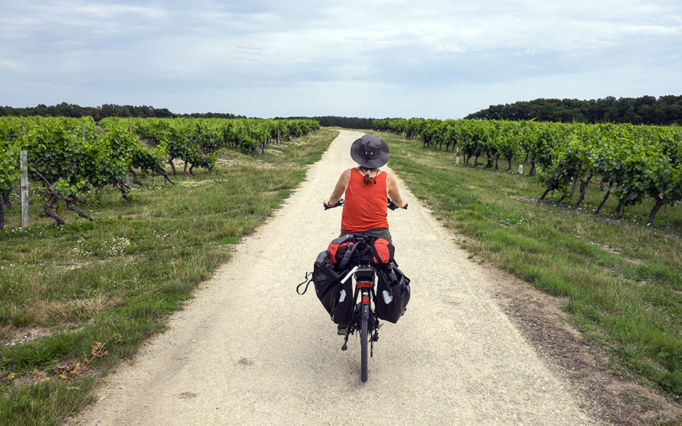 Touraine-Amboise vineyards