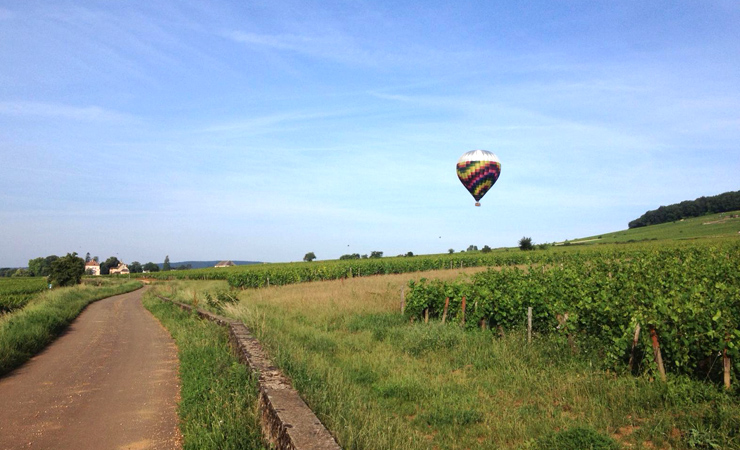 Hot air ballooning over Aloxe-Corton vineyards