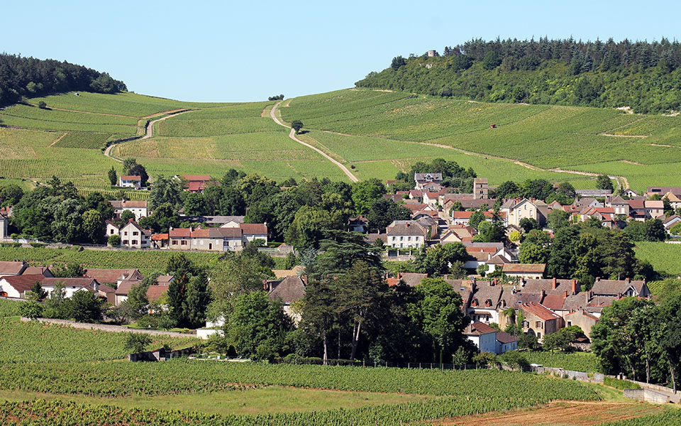 Mercurey : vineyards & village