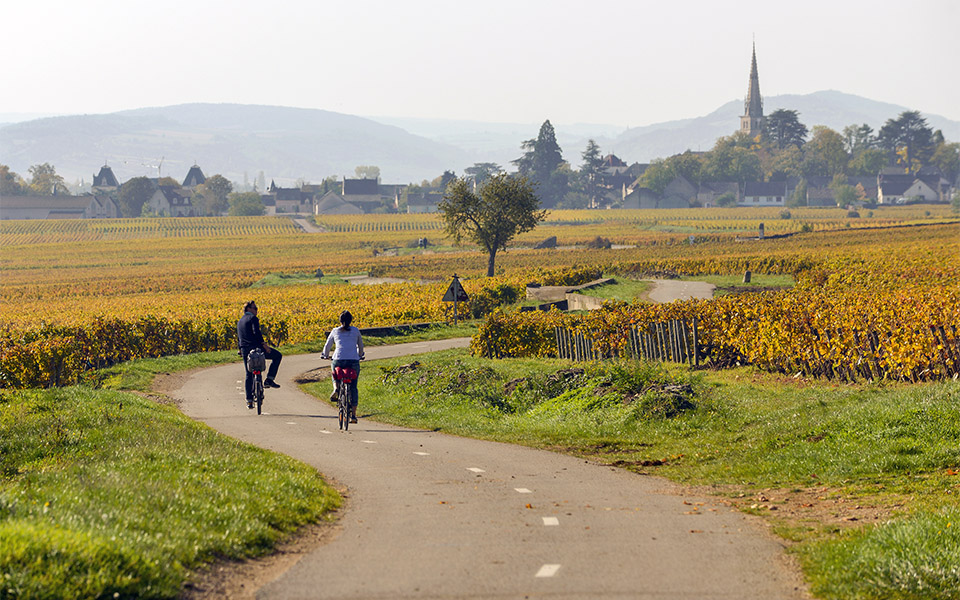 'Voie verte' cycling tracks in the vineyards