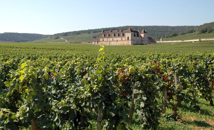 château du Clos de Vougeot