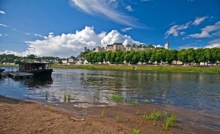 Chinon and Vienne river