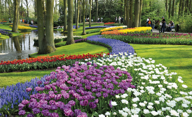 Keukenhof park