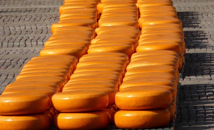 Cheese market in Alkmaar