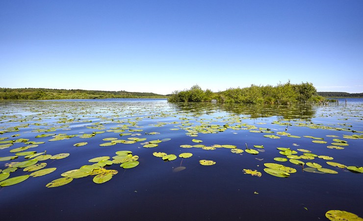 Léon lake