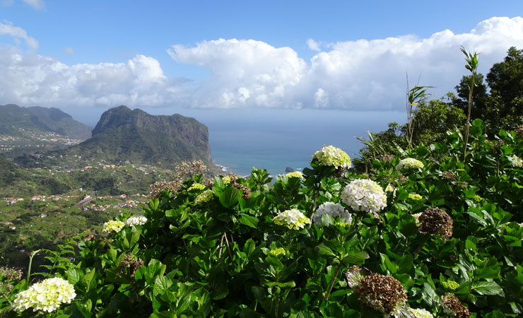 View to sea and mountain