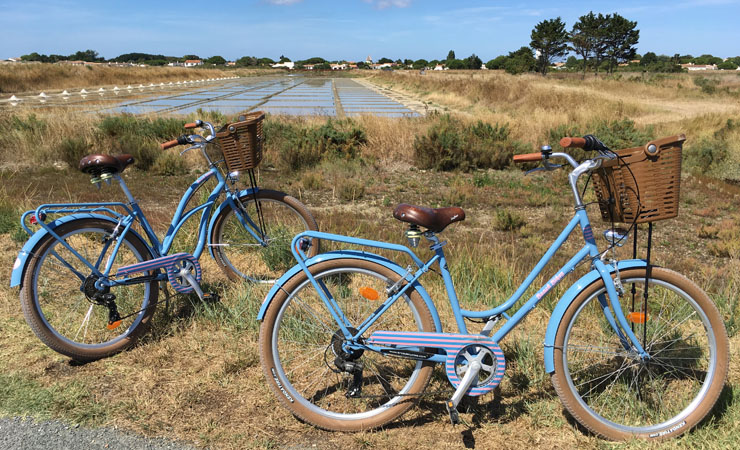 Salt marshes