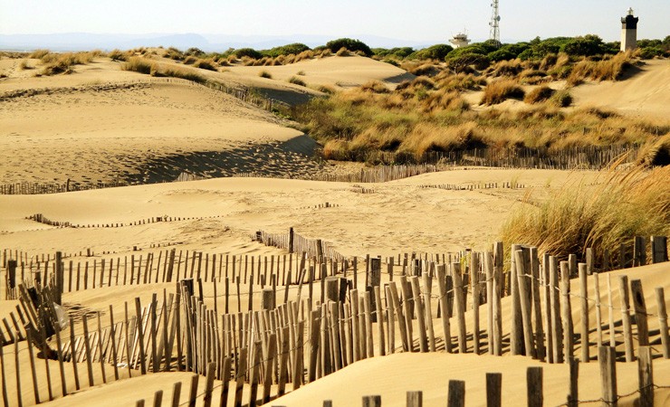 Camargue - beaches
