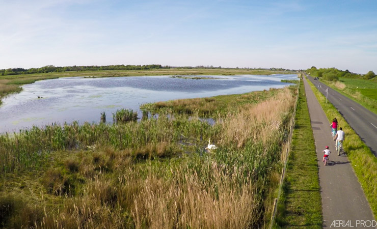 bike into the marsh