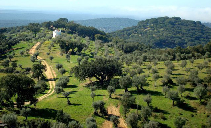 Alentejo landscape