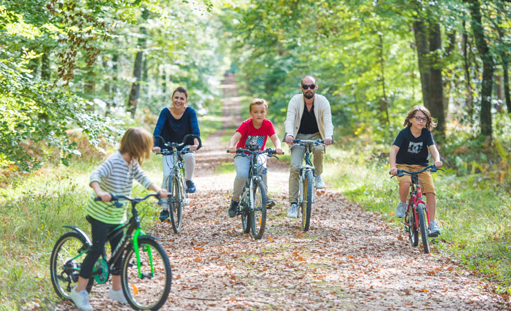 cycling path - Loches forest