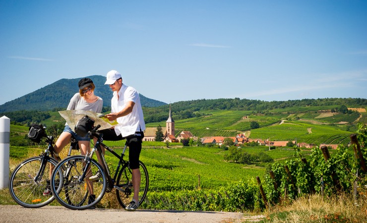 Kaysersberg vineyards