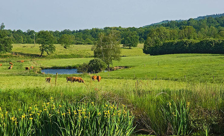 Périgord landscape