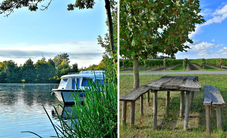 La Charente river and its vineyards